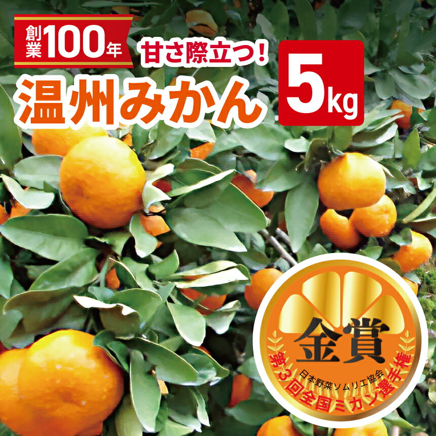 【ふるさと納税】創業100年 甘さ際立つ！熊本温州みかん 約 5kg | 熊本県 熊本 くまもと 和水町 なごみまち なごみ 柑橘 柑橘類 ミカン ミカン みかん 温州ミカン 温州みかん