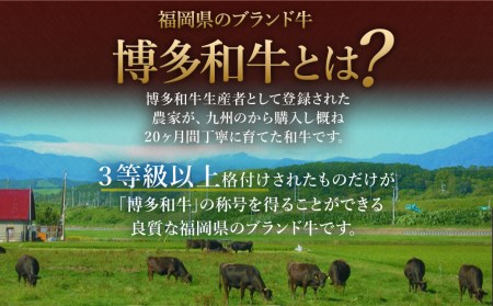 【緊急支援品 無くなり次第終了 訳あり】 博多和牛 ＋ 国内産 黒毛和牛 切り落とし 合計1.2kg(300g×4パック)