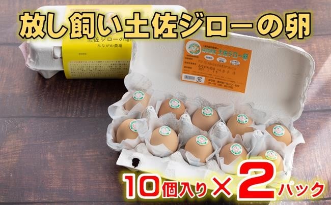 
            放し飼い 土佐ジロー 卵 20個 入り 土佐 地鶏 地鶏卵 天然卵 特産品 濃厚 卵かけご飯 TKG だし巻き卵 プリン 茶碗蒸し スイーツ 焼き菓子 人気 高知 黒潮町 ふるさと納税卵 ［1177］
          