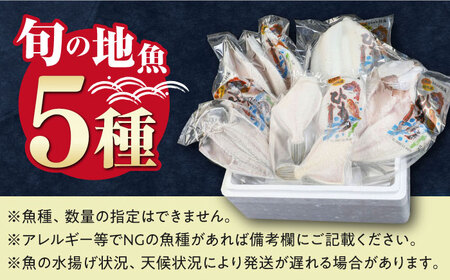 対馬産 旬の地魚 干物 5種 セット 直送 旬 ひもの 朝食 イカ サバ  [WAH024]