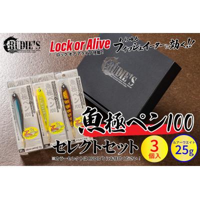 ふるさと納税 飯塚市 RUDIE‘Sの魚極ペン100(25g)セレクト3個セット 釣り具 ルアー