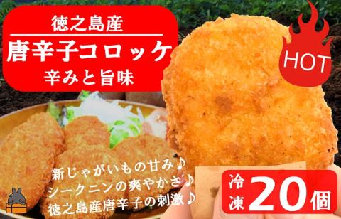 《マツコの知らない世界で紹介》【2025年春にお届け！】徳之島のホクホク新じゃが＋唐辛子！徳之島の唐辛子コロッケ(20個）（ じゃがいも 新じゃが 唐辛子 ヤマシークニン おかず お弁当 おつまみ 簡単 料理 徳之島 奄美 鹿児島 冷凍食品 美味しい )