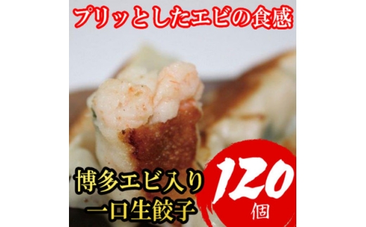 博多エビ入り一口生餃子 120個 小分けに便利な8パック　創業40年以上福岡老舗会社製造 (福岡県)【1763811】