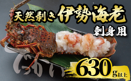 【 伊勢海老 】 伊勢海老刺身用630g