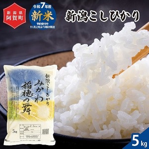 コシヒカリ 5kg 新潟県阿賀町産《令和7年産》 精米 白米 送料無料｜みかわ稲穂の舞 コシヒカリ