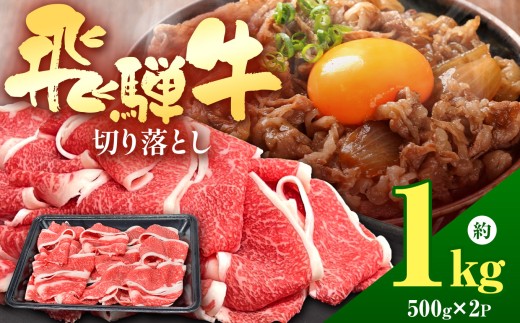 飛騨牛 切り落とし 1kg |【 選べる容量 】 飛騨牛 黒毛和牛 牛 国産牛 牛肉 精肉 切り落とし 赤身 炒め物 牛丼 肉じゃが カレー 焼肉 おかず BBQ  贈答 家庭用 おすすめ ジューシー とろける 冷凍 岐阜県 北方町