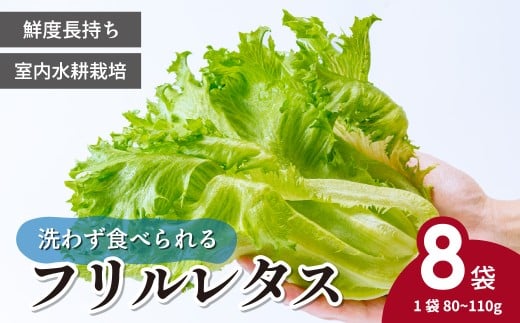 ＜洗わず食べられる・室内水耕栽培＞ フリルレタス 8袋 (1袋80~110g)