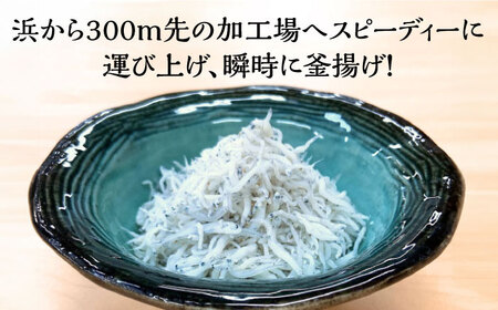 釜揚げちりめん（しらす）約500ｇ鮮度日本一を目指します！浜で瞬時に釜揚げ