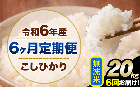 【6ヶ月定期便】令和6年産 定期便 こしひかり 無洗米 定期便 20kg 精米 熊本県産(南阿蘇村産含む)  南阿蘇村《申込み翌月から発送》｜人気米 熊本県産米  生活応援米