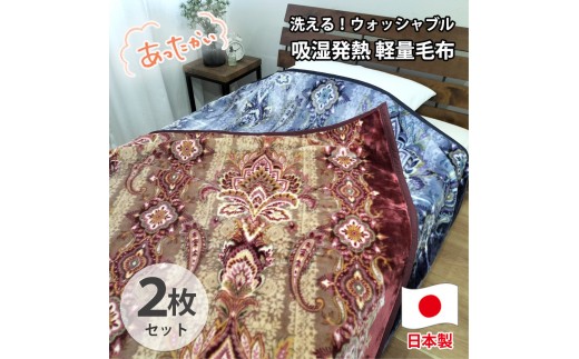 
                  【シングル2枚組】洗える 吸湿発熱 軽量あったか毛布 (140×200cm)×1セット（ピンク1枚・ブルー1枚） MO-6061-2P
                