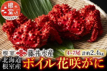 【北海道根室産】ボイル花咲かに4～7尾(計約2.4kg) C-42080