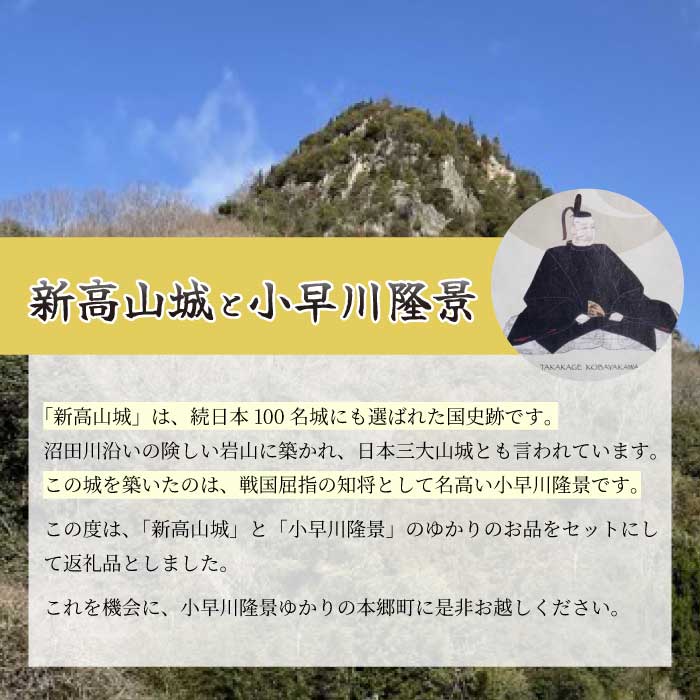 御城印限定版切り絵５枚セット ≪新高山城・高山城・三原城・切り絵赤・切り絵緑≫ 和柄 広島県三原市 110005
