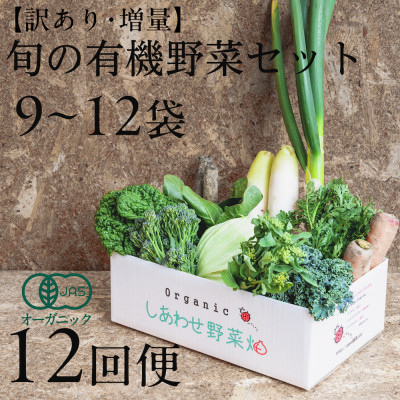 
            ＜毎月定期便＞しあわせ野菜畑のシェフLセット　(訳あり規格外の有機野菜を一部使用)全12回【4066429】
          