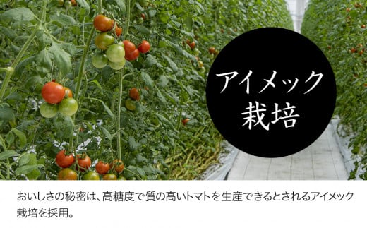 【期間限定】フルーツトマト 玄 1kg×1箱 | ミニトマト ぷちとまと ミニトマト プチトマト 国産 ミニトマト 大分県中津産 九州野菜 大分県 中津市