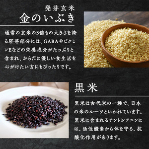 金のいぶき発芽玄米と黒米を炊いたごはん150g×40パック（有機栽培玄米使用）