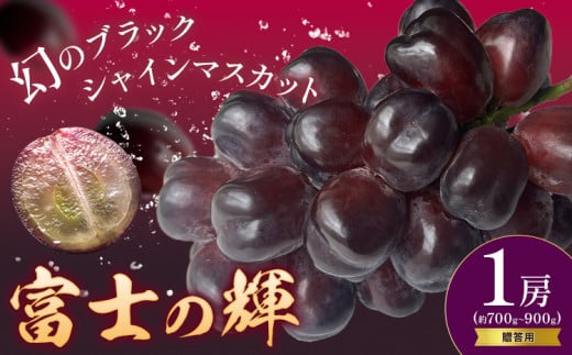 ぶどう 贈答用 富士の輝 1房 約700～900g 葡萄 ブドウ ぶどう 大粒 種なし ブラック シャインマスカット 皮ごと フルーツ 果物 産地直送 新鮮 お取り寄せ ギフト 国産 季節限定 茨城県 結城市《8月下旬-9月下旬頃出荷》會澤ぶどう・キウイフルーツ園 【配送不可地域あり】(離島)