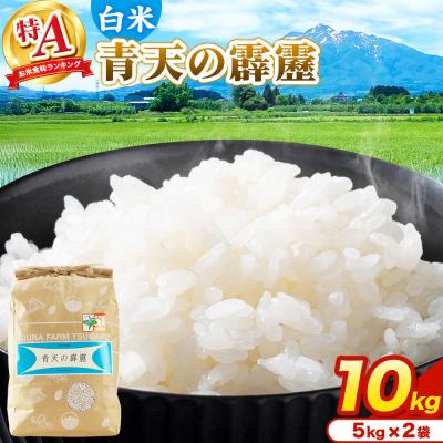ふるさと納税 弘前市 米 青天の霹靂 白米 10kg(5kg×2袋)R7年産 特A|24_mft-061001