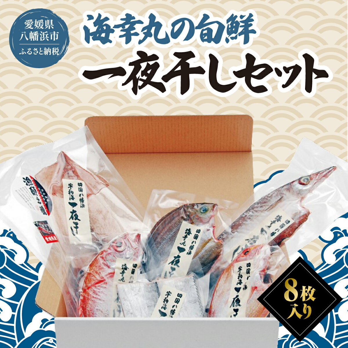 【ふるさと納税】海幸丸の旬鮮一夜干しセット(8枚入)【E15-7】_ 一夜干し 干物 魚介 魚 手作り セット 詰合せ おかず ヘルシー おつまみ 人気 食べ比べ お弁当 愛媛 八幡浜市 冷凍 産直 真空 おすすめ 送料無料 【配送不可地域：離島】【1505185】