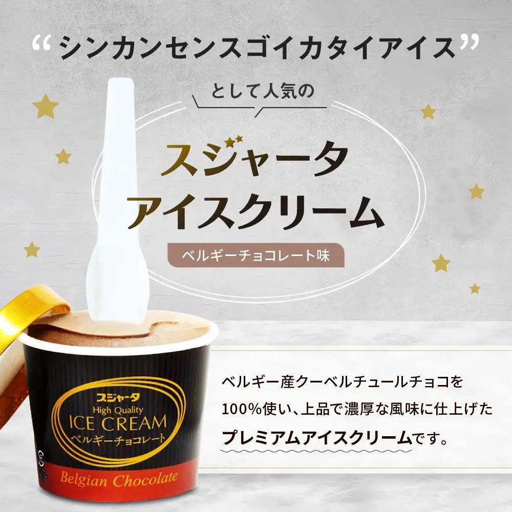 シンカンセンスゴイカタイ アイス　ベルギーチョコ 11個　アイスクリーム