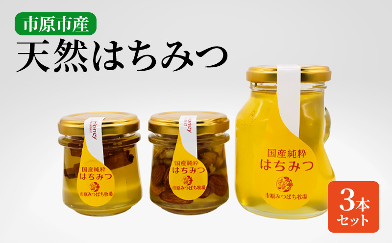 市原みつばち牧場天然はちみつ３本セット【百花蜜】