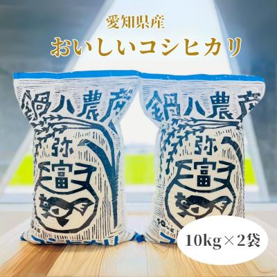 ふるさと納税 弥富市 愛知産弥富市産コシヒカリ10kg　2袋