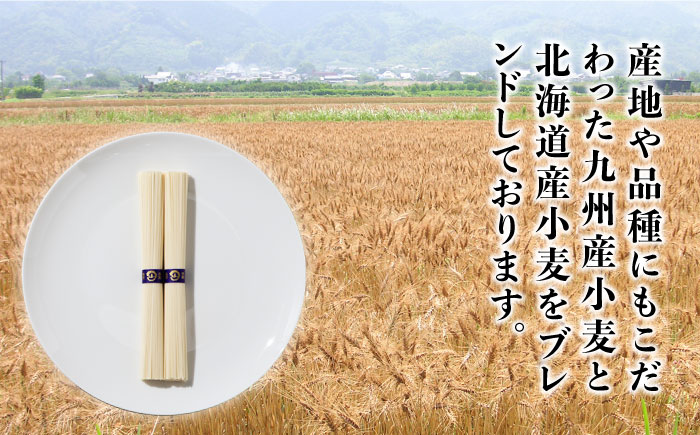島原手延そうめん 山道そうめん 特級品 50g×5束×2袋 / そうめん 素麺 麺 乾麺 / 南島原市 / そうめんの山道 [SDC004]