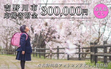 【 返礼品なし 300,000円  】 徳島県 吉野川市 への 寄附 応援寄附金