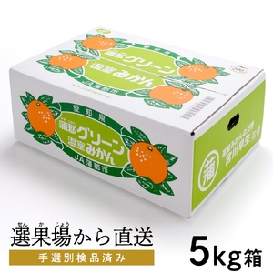 【2027年8月下旬～発送予定】※先行予約※【期間限定】蒲郡グリーン 温室みかん 5kg_【G0487】