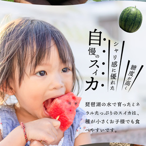 よってこ小玉すいか2玉 【5月下旬〜8月中旬お届け】ピノガール よってこファーム フルーツ デザート 果物 