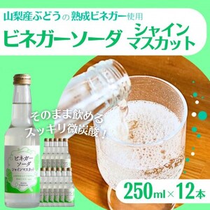 山梨産ぶどう100%の熟成ビネガーの、そのまま飲める「ビネガーソーダシャインマスカット12本セット」【1658113】