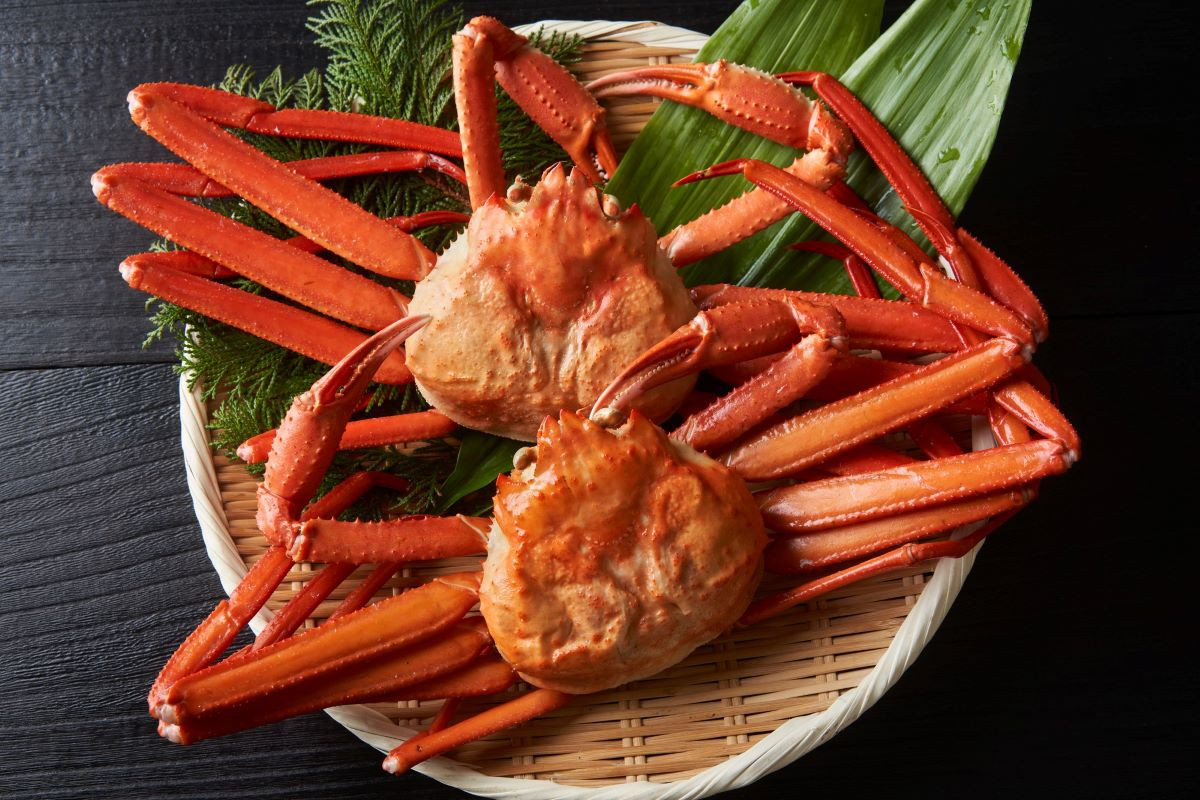 
                  【ボイル】紅ズワイガニ 1.2kg(約400g×3枚)
                