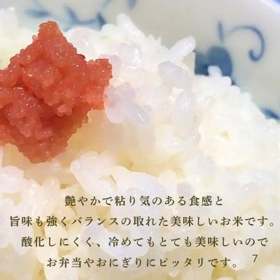 ふるさと納税 小松市 【定期便】令和7年産 こしひかりカルゲン米 5kg×3ヶ月(毎月) | 石川県 小松市 坂口農園 |  | 02