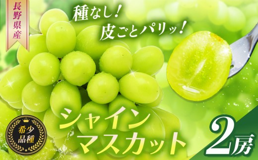 シャインマスカット2房【10月上旬頃より発送予定】 ｜ シャイン ぶどう 葡萄 ブドウ くだもの 果物 フルーツ マスカット しゃいん ますかっと 長野県 塩尻市