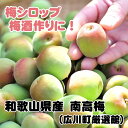 【ふるさと納税】南高梅 3kg 5kg 14000円 17000円 サイズ混合 和歌山名産 ※6月上旬から6月下旬頃に順次発送予定 ※北海道・沖縄・離島への配送不可 / 梅 青梅 うめ 梅酒 梅干し 梅シロップ ジャム // hokaf