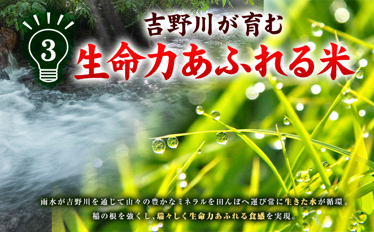 米 ヒノヒカリ 10kg JA徳島県脇町営農経済センター 《30日以内に出荷(土日祝除く)》ごはん こめ ご飯 徳島県 美馬市