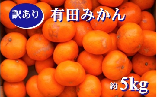 紀州有田みかん 訳あり 約5kg キズ ご家庭用 サイズ混合　※2026年11月下旬より順次発送予定　※北海道・沖縄・離島配送不可【sml130A】