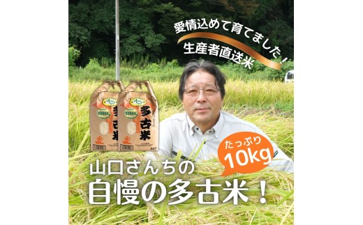 山口さんちの＜令和7年産＞多古米コシヒカリ(精米)10kg TAKF044