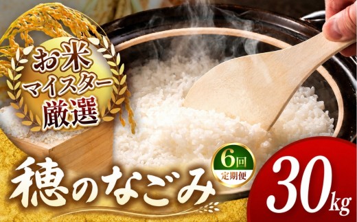 【 令和7年産 】【 定期便6回 】 穂のなごみ 30kg 熊本県産 お米 白米 | 30キロ ブレンド米 日本遺産 菊池川流域 お米 家庭用 訳あり 規格外 不揃い お米 熊本 お米 コロナ支援 お米 災害支援 お米 フードロス お米 くまもと お米 熊本県 和水 和水町 人気 こめ作り ごはん ふるさと納税 返礼品
