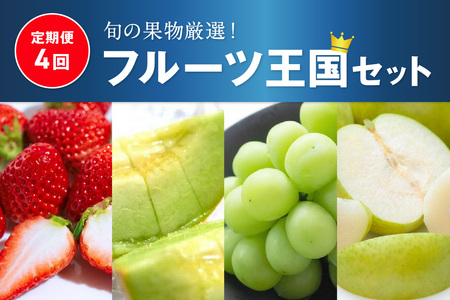 【先行予約／フルーツ定期便4回】旬の果物厳選！京丹後フルーツ王国セット（完熟イチゴ・メロン・シャインマスカット・二十世紀梨）（2026年2月中旬～発送）