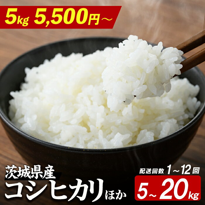 【ふるさと納税】 ＼高評価★4.74獲得！／ ＜選べる内容量・発送月・定期便＞ 米 白米 お米 新米 コシヒカリ にじのきらめき つきあかり 無洗米コシヒカリ あきたこまち 無洗米あきたこまち 定期便 3ヶ月 6ヶ月 12ヶ月 5kg 10kg 15kg 20kg 令和8年産 こめ 無洗米 単一原料米