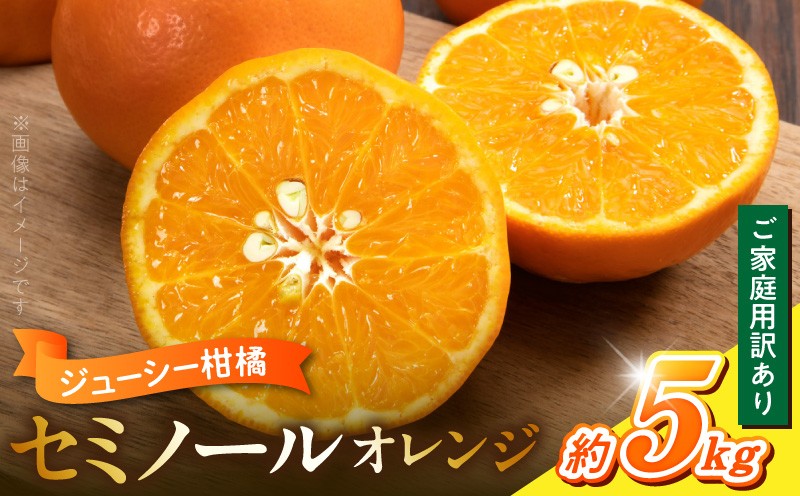 
                  2027年先行予約 ご家庭用訳あり ジューシー柑橘 セミノールオレンジ 約5kg 甘味 酸味 凝縮 しっかりとした味わい 濃厚な味 果汁 ゼリー シャーベット ジュース 色 鮮やか 香り 爽やか 果物 お取り寄せフルーツ 和歌山県 湯浅町 送料無料_G7374
                