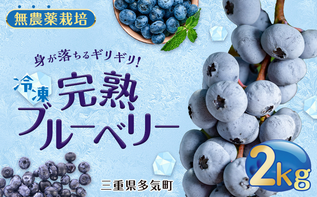 
                  無農薬栽培 冷凍完熟ブルーベリー2kg  果物 くだもの フルーツ 完熟 冷凍 ブルーベリー ジャム ピューレー スムージー シロップ 国産 農薬無使用 おいしい ビタミン 食物繊維 ミネラル 三重県 多気町 FR-02
                