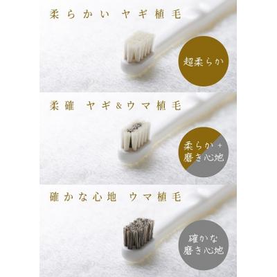 ふるさと納税 八尾市 <柔らかい天然毛歯ブラシ>ミガケンデ 3本セット(A159) |  | 01