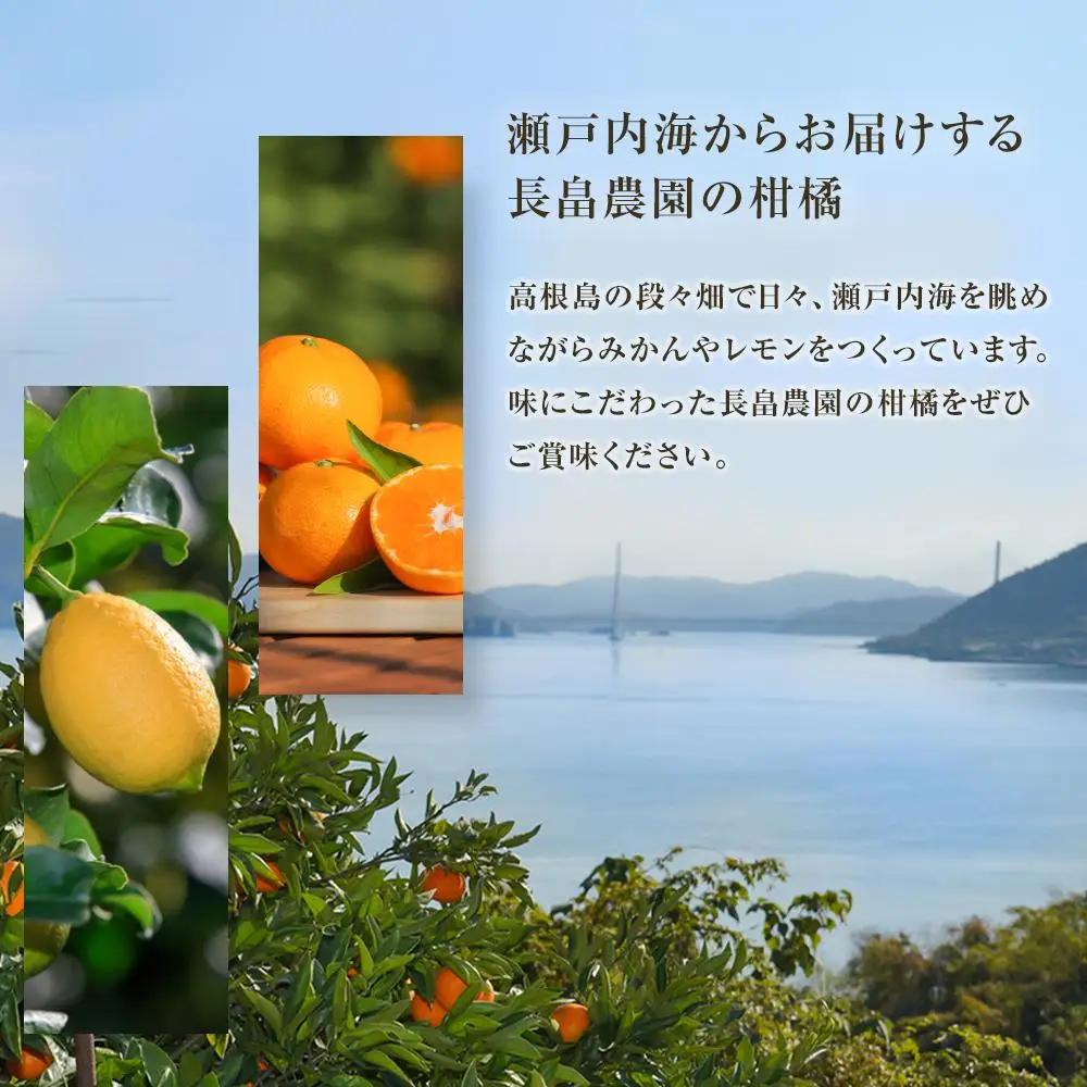 【先行予約】爽やかな甘さ はるか 4.5kg　＜2027年2月下旬より発送開始＞