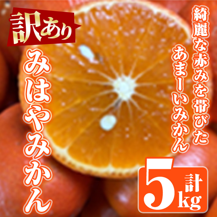 ＜2024年12月中旬以降発送予定＞訳ありみはやみかん(計5kg) 国産 フルーツ 果物 蜜柑 柑橘 みかん 訳あり【松永青果】a-12-302-z