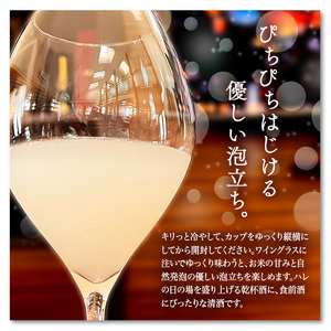 SB0481　初孫 本醸造「は号仕込」アルミカップ　180ml×12本