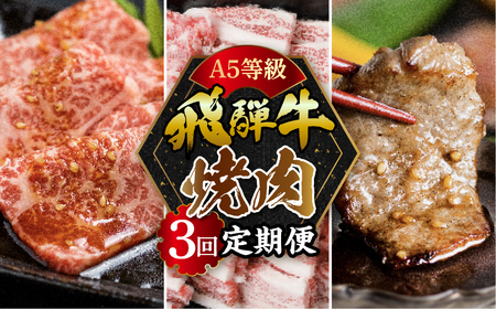 A5 飛騨牛 焼肉 3回 定期便 焼肉 トキノ屋食品