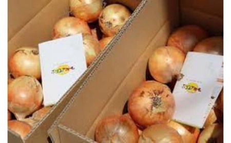 淡路島玉ねぎ とれたて完熟!! 新玉ちゃん 10kg　◆配送5月上旬～6月上旬