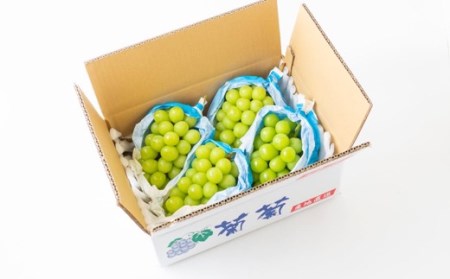【先行予約】上村農園 (ハウス)シャインマスカット 4房から6房 (約2kg) 2025年7月中旬から8月上旬 出荷予定