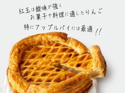 アップルパイ 冷蔵 ホール 22cm アップルパイ